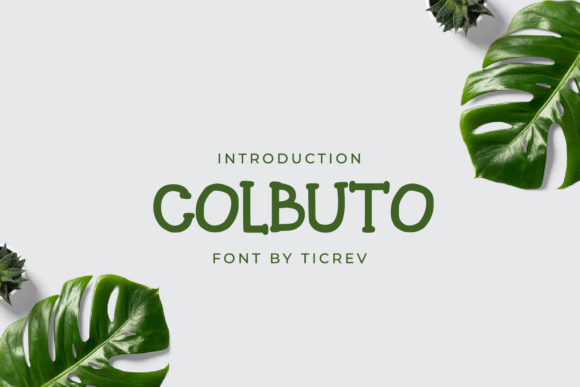 Colbuto: A Display Font That Elevates Your Web Design